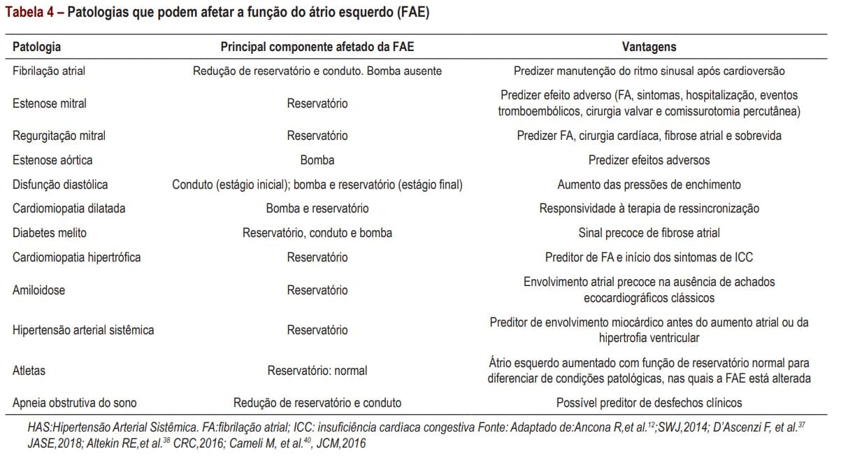 Strain do Átrio Esquerdo conceitos básicos Blog Ecope