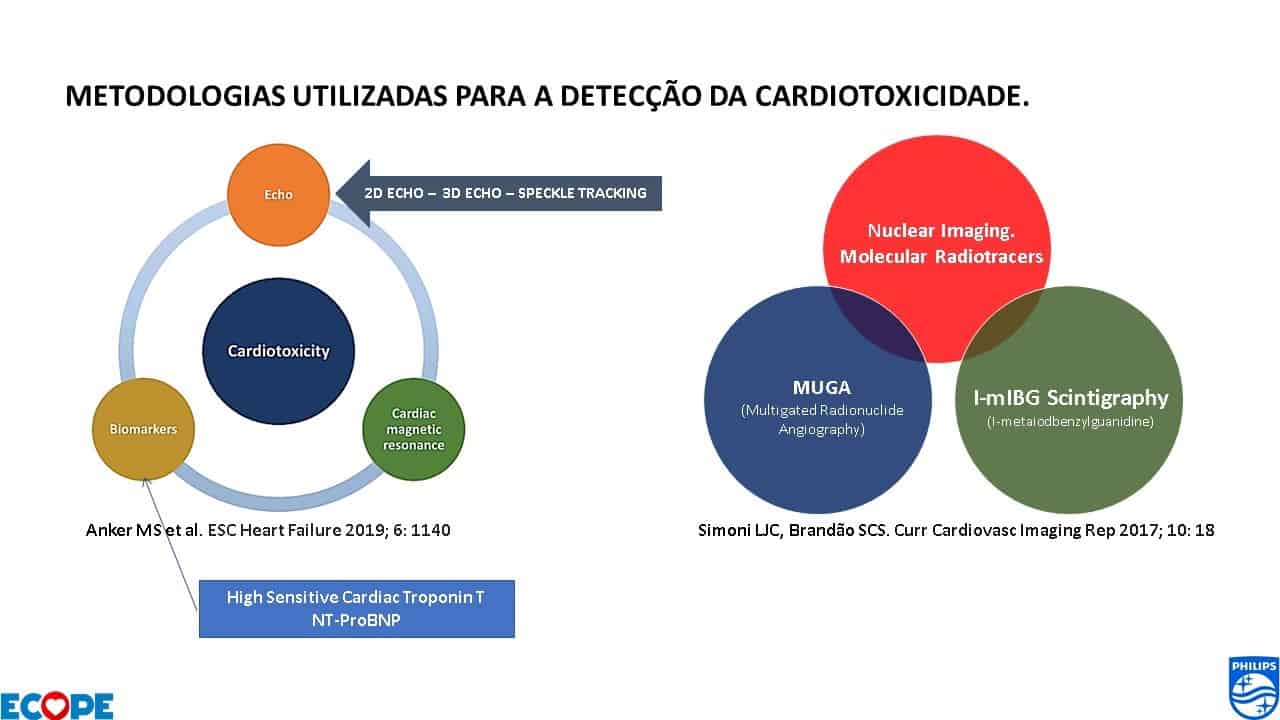 imagem-02.jpg